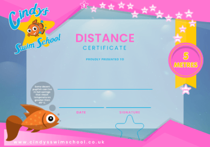 5m Distance certificate