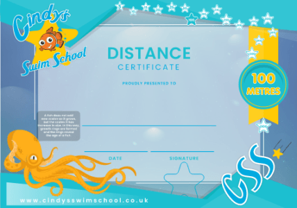 100m Distance certificate
