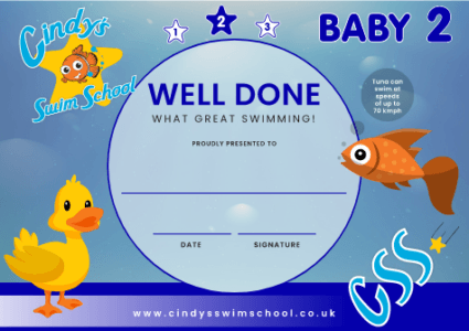Baby 2 Certificate