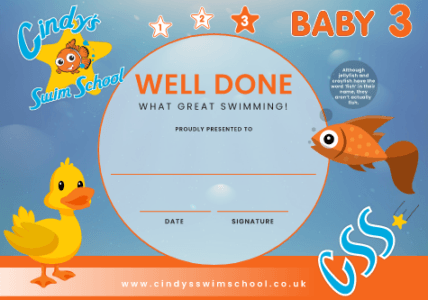 Baby 3 Certificate