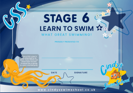 Stage 6 Certificate