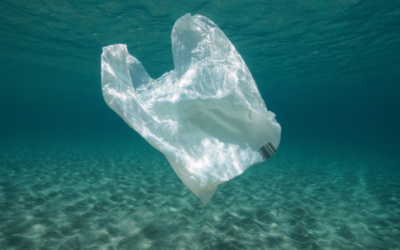 International Plastic Bag Free Day
