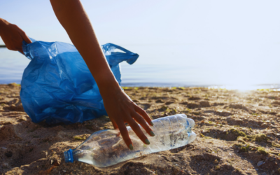 5 Ways to Get Involved in National Marine Week