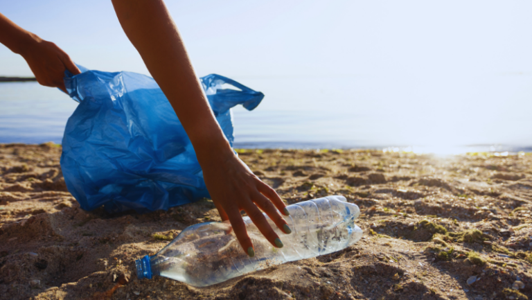 5 Ways to Get Involved in National Marine Week beachcleanup