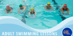 Adult swimming lessons