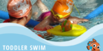 Toddler swimming lessons