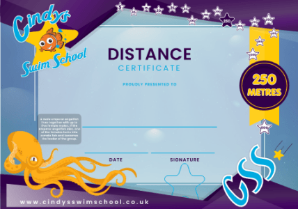 250m Distance certificate