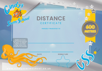 600m Distance certificate
