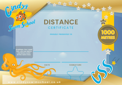 1000m Distance certificate