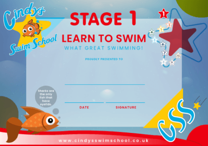 Stage 1 Certificate
