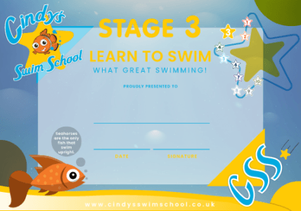 Stage 3 Certificate