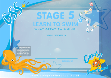 Stage 5 Certificate