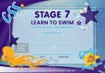 Stage 7 Certificate