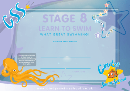 Stage 8 Certificate
