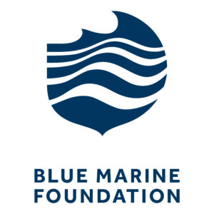 blue marine foundation