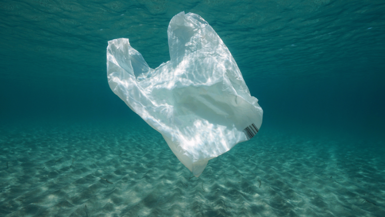 International Plastic Bag Free