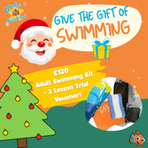 Adults Learn to Swim Xmas Bundle