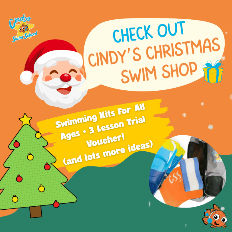 CSS Christmas Swim Shop Christmas Swim Shop
